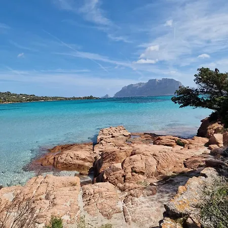 Appartement Le Viole Olbia