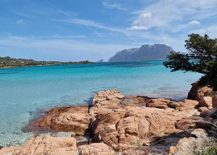 Lägenhet Le Viole Olbia